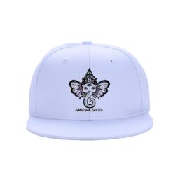 snapback